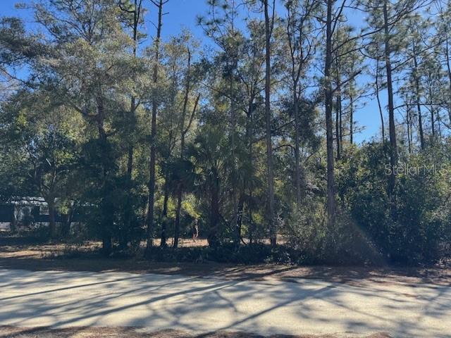 10220 W OHIO DR, CRYSTAL RIVER, FL — photo 4