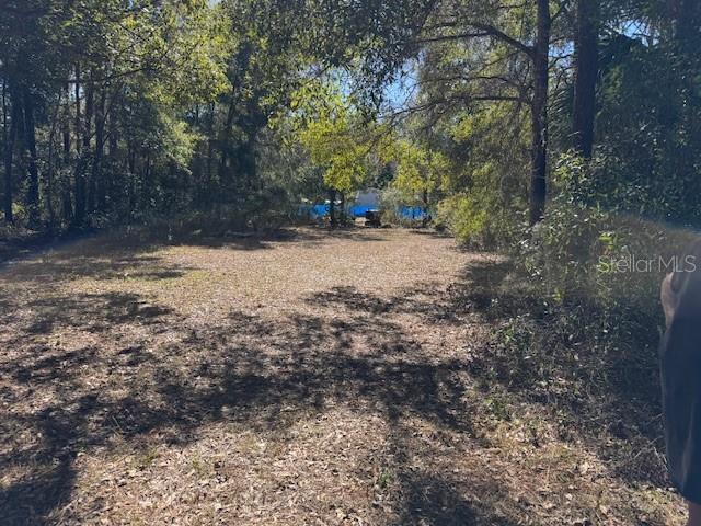 10220 W OHIO DR, CRYSTAL RIVER, FL — photo 10