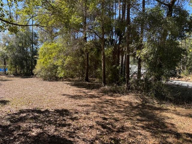 10220 W OHIO DR, CRYSTAL RIVER, FL — photo 11