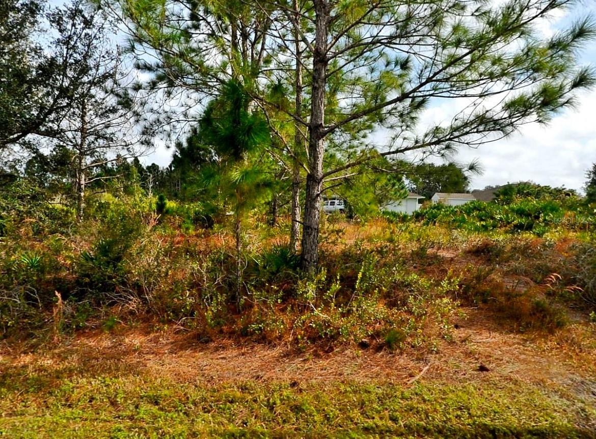 CORDOVA TER, NORTH PORT, FL — photo 3