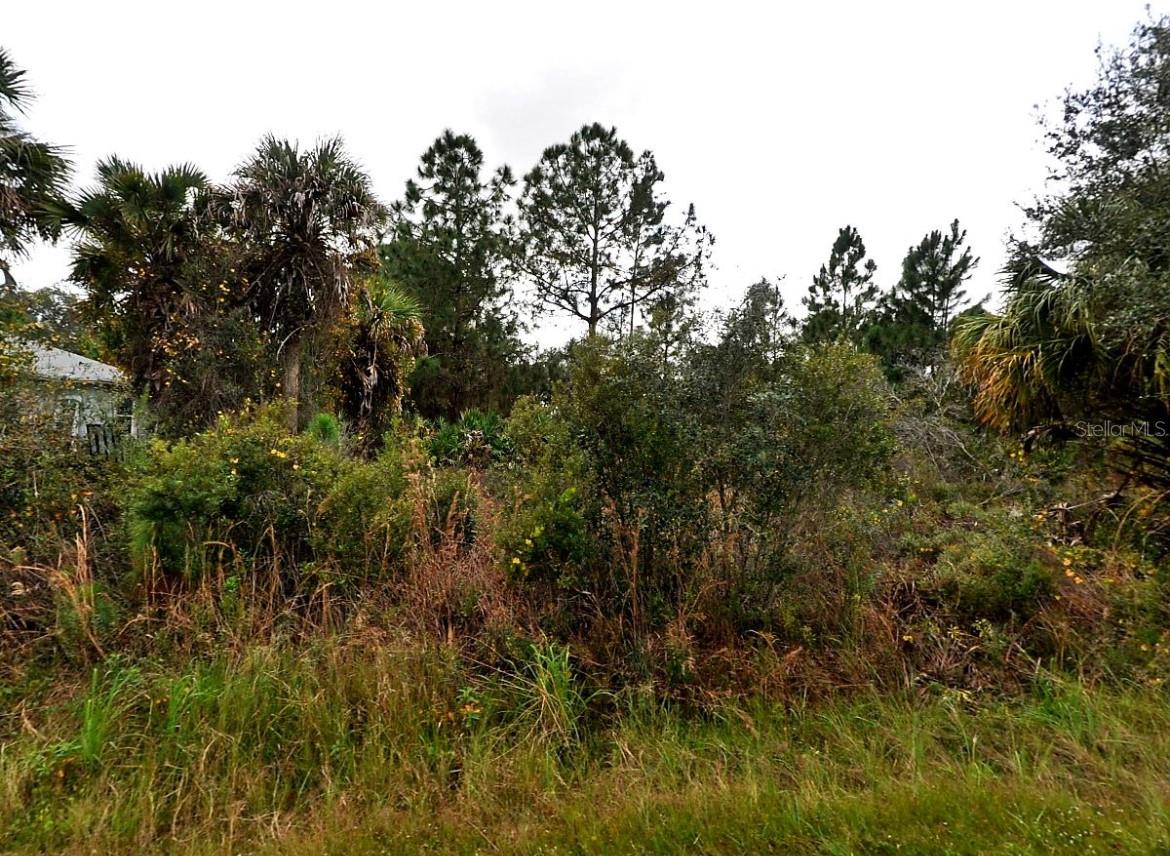 ALHAMBRA AVE, NORTH PORT, FL — photo 3