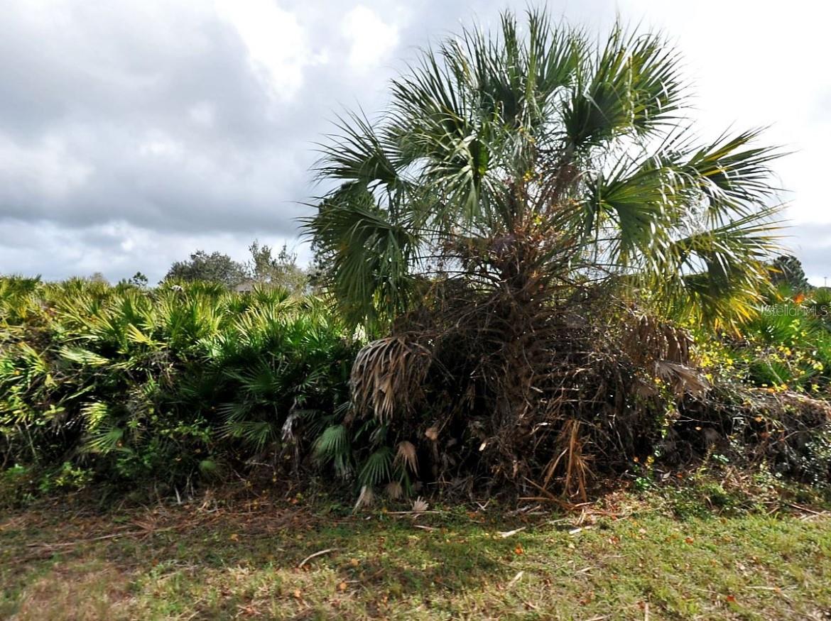 CALLAGHAN LN, NORTH PORT, FL — photo 3