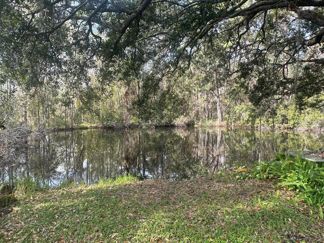 2218 ELLIE RD #1, AUBURNDALE, FL — photo 21
