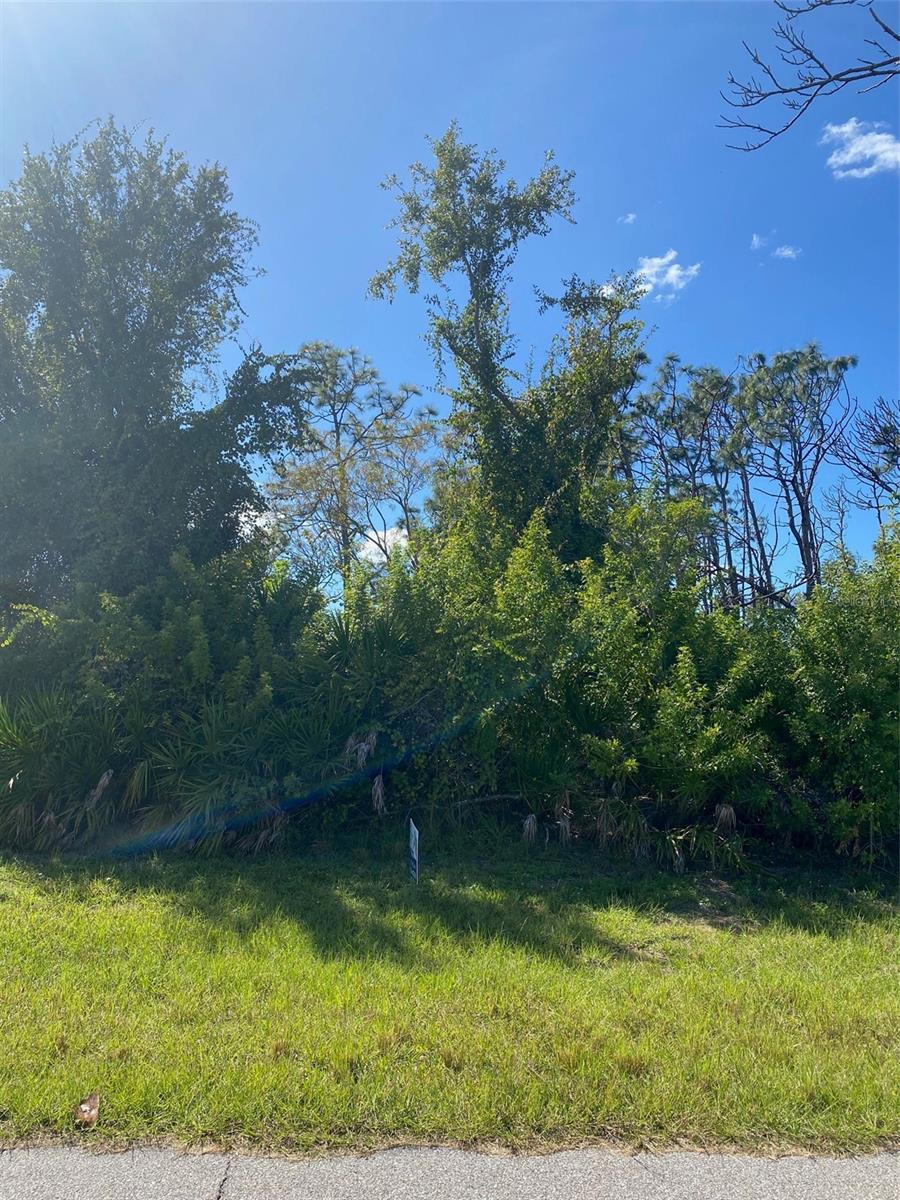 119 WAHOO DR, ROTONDA WEST, FL