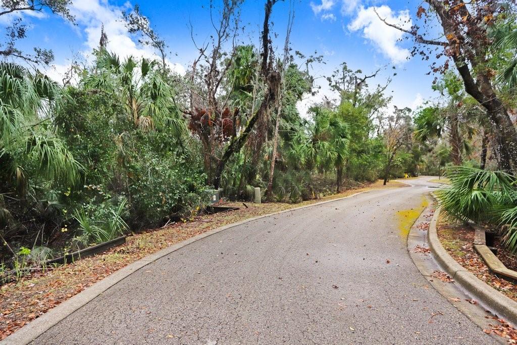4868 RAMBLING RIVER RD, BRANDON, FL — photo 9