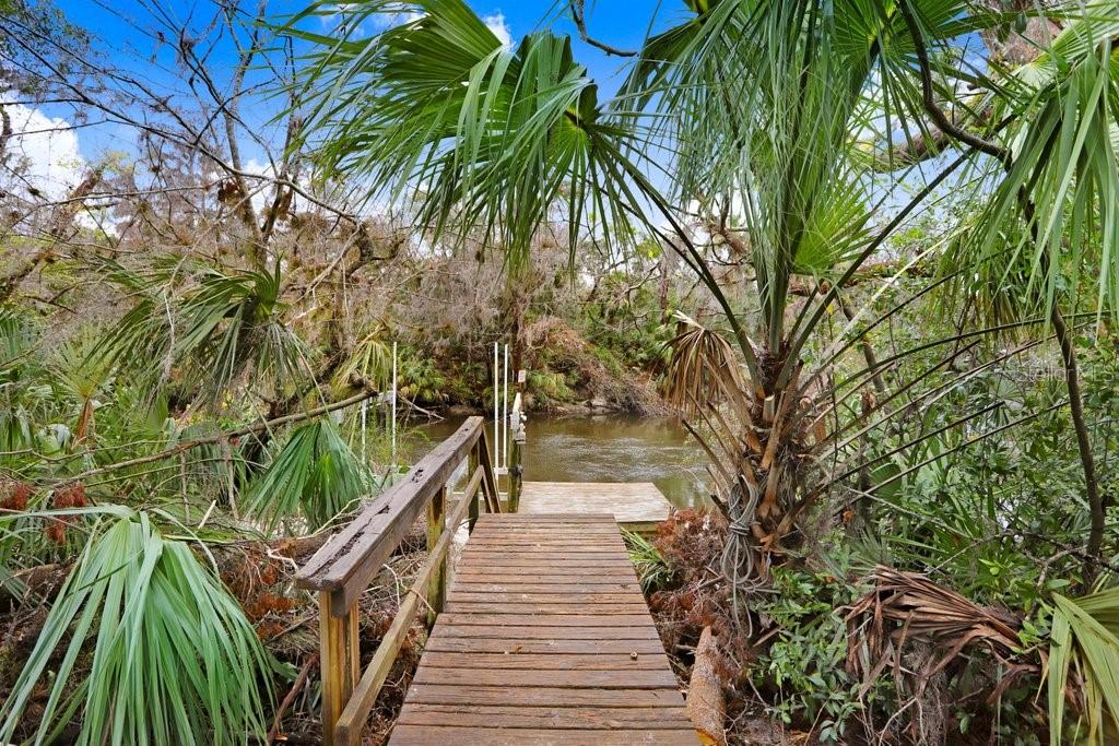 4868 RAMBLING RIVER RD, BRANDON, FL — photo 6