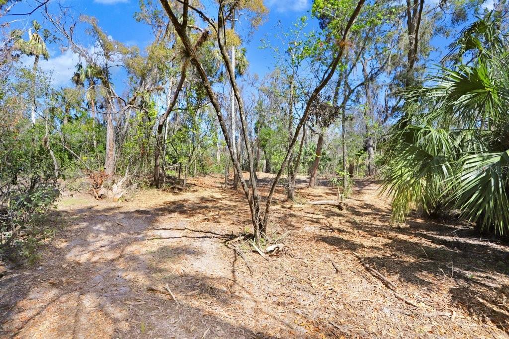 4868 RAMBLING RIVER RD, BRANDON, FL — photo 40