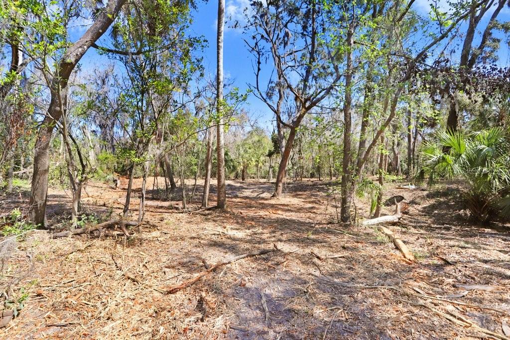 4868 RAMBLING RIVER RD, BRANDON, FL — photo 41