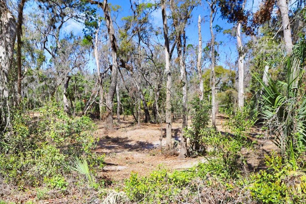 4868 RAMBLING RIVER RD, BRANDON, FL — photo 42