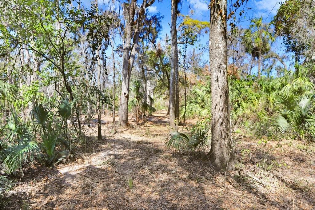 4868 RAMBLING RIVER RD, BRANDON, FL — photo 43