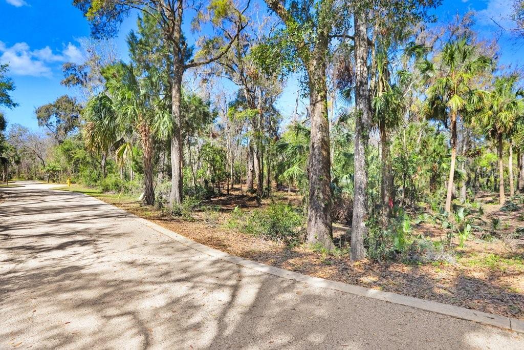 4868 RAMBLING RIVER RD, BRANDON, FL — photo 44