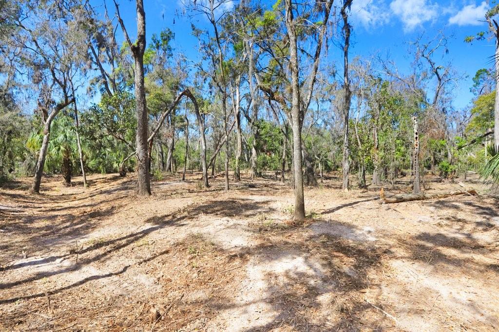 4868 RAMBLING RIVER RD, BRANDON, FL — photo 45