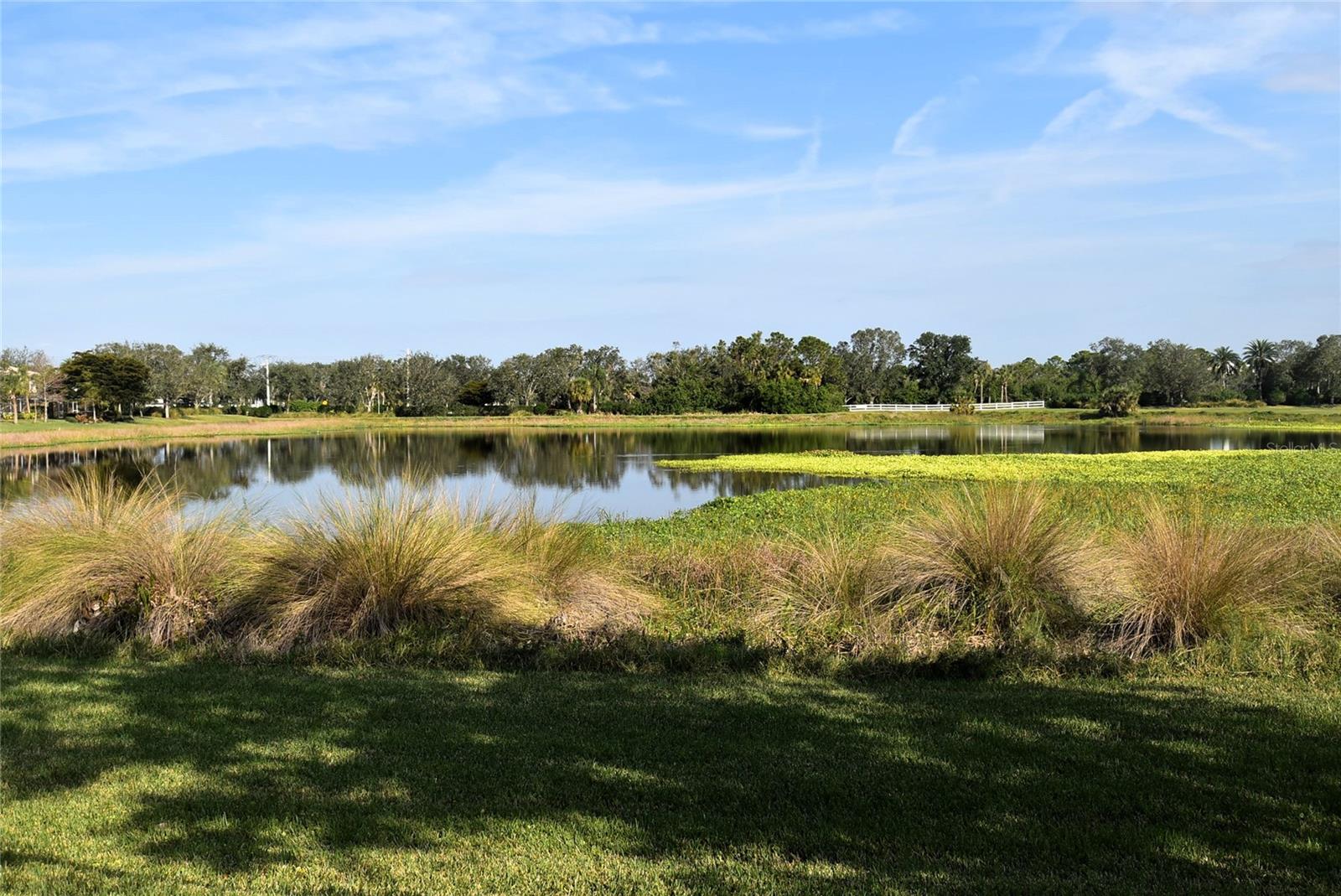 7624 BERGAMO AVE #4B, SARASOTA, FL — photo 24