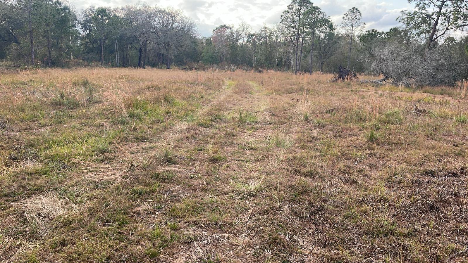 KELLY RIDGE RD, FROSTPROOF, FL — photo 3