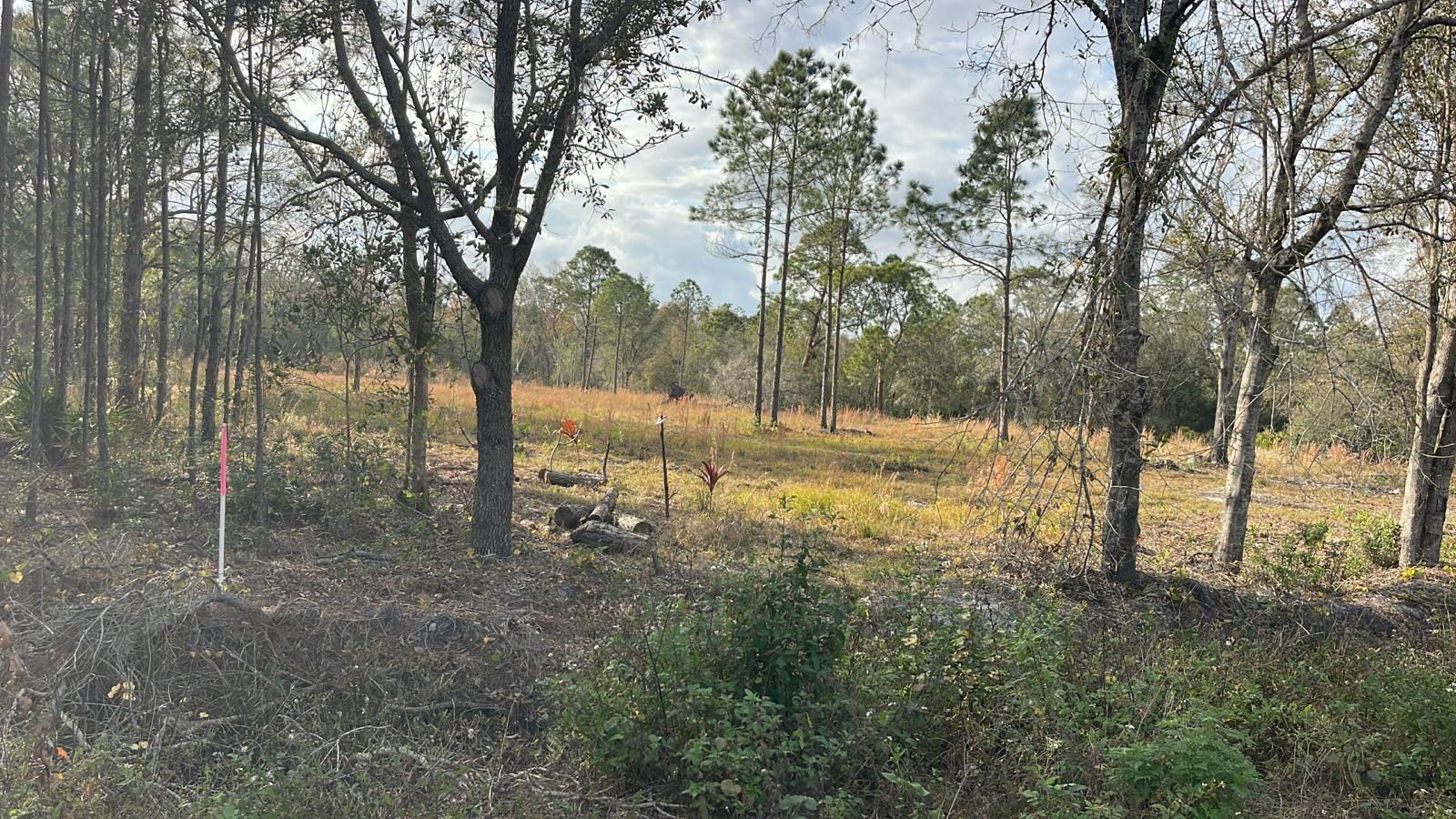 KELLY RIDGE RD, FROSTPROOF, FL — photo 4