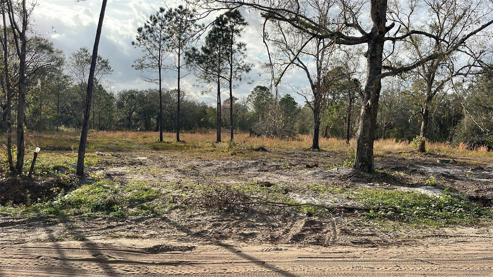 KELLY RIDGE RD, FROSTPROOF, FL — photo 5
