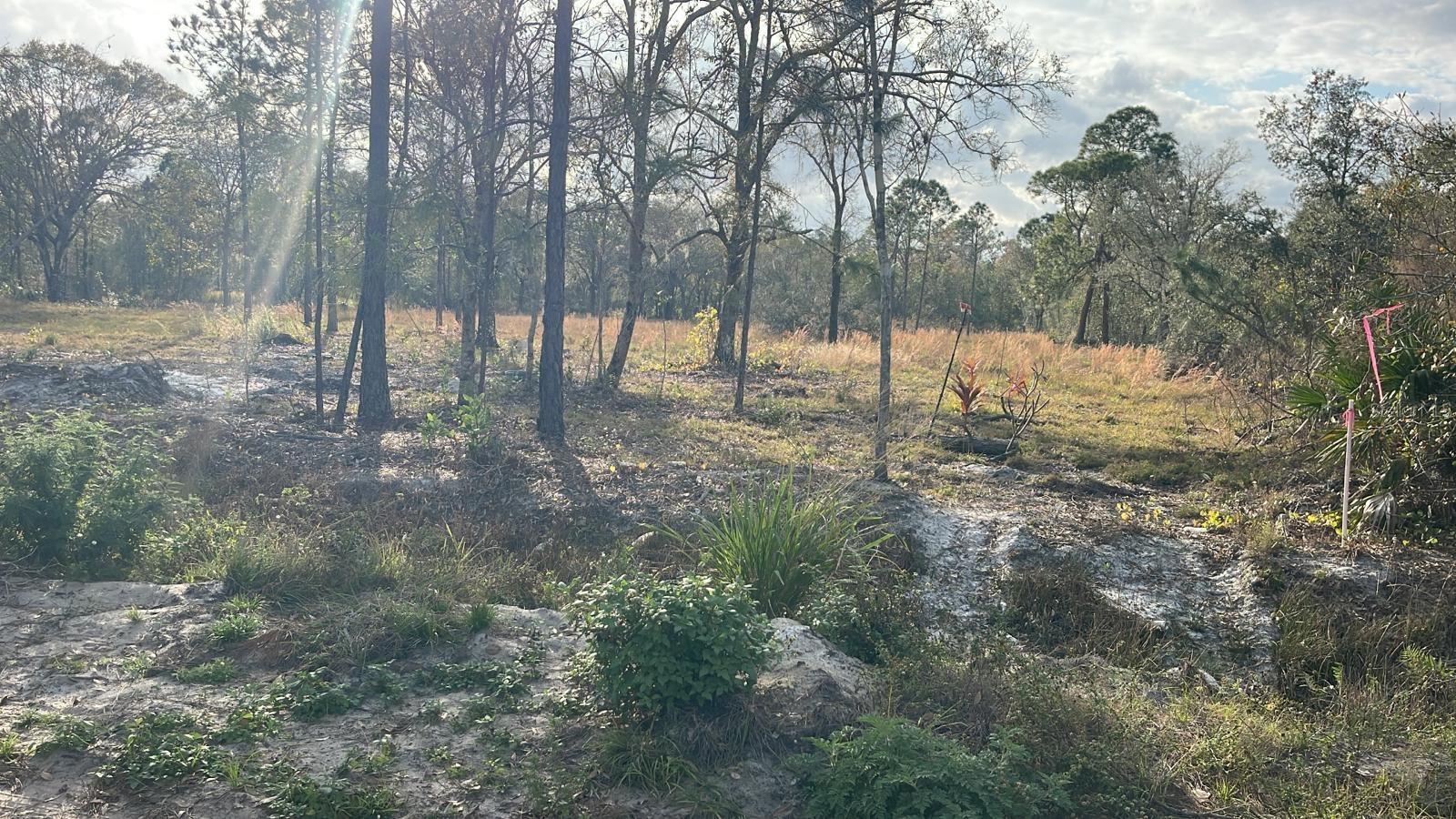 KELLY RIDGE RD, FROSTPROOF, FL — photo 6