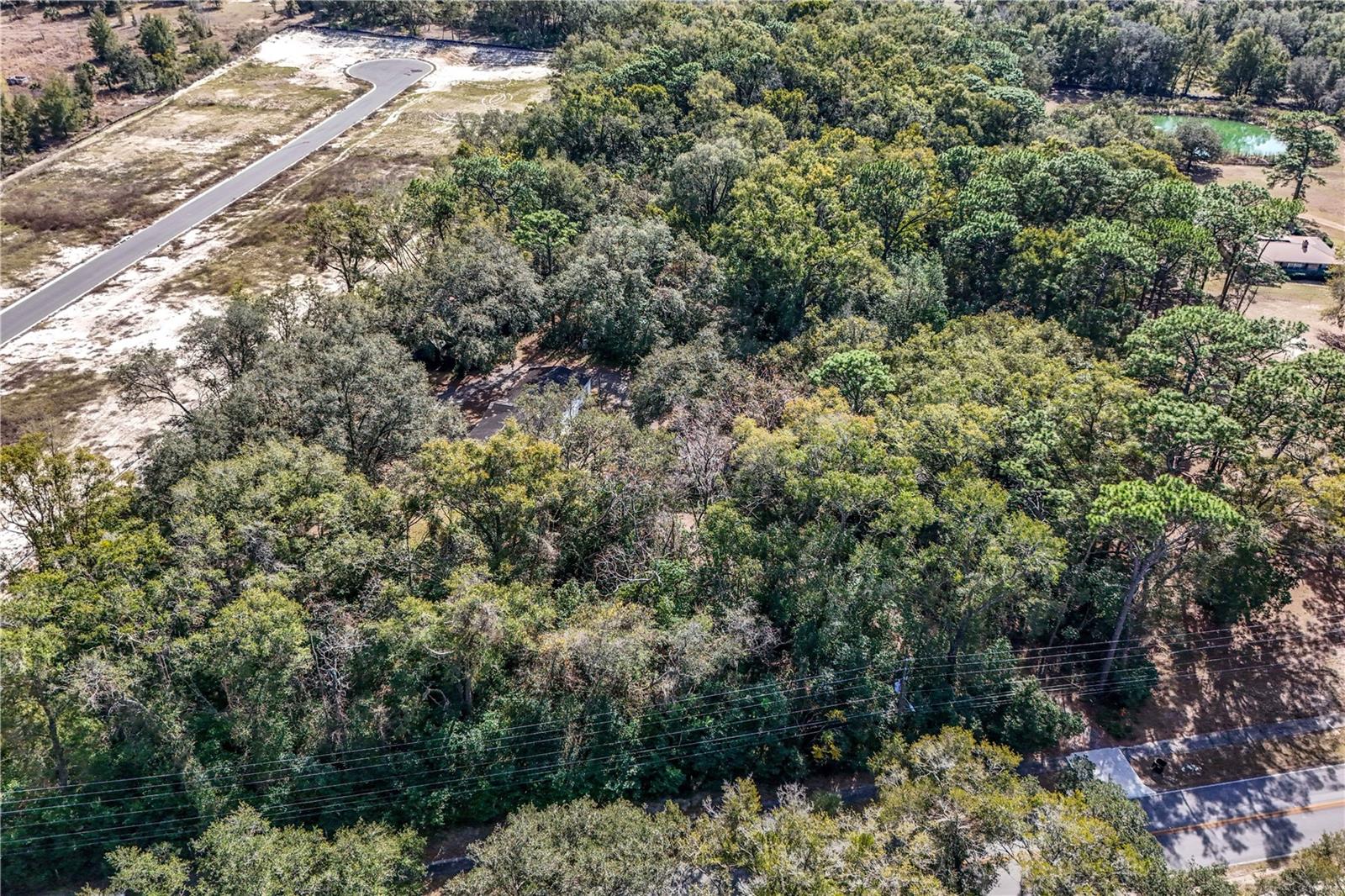 344 W PONKAN RD, APOPKA, FL — photo 10