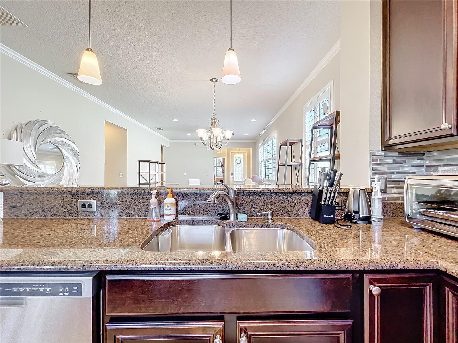 22004 BELGIAN CT, MOUNT DORA, FL — photo 53