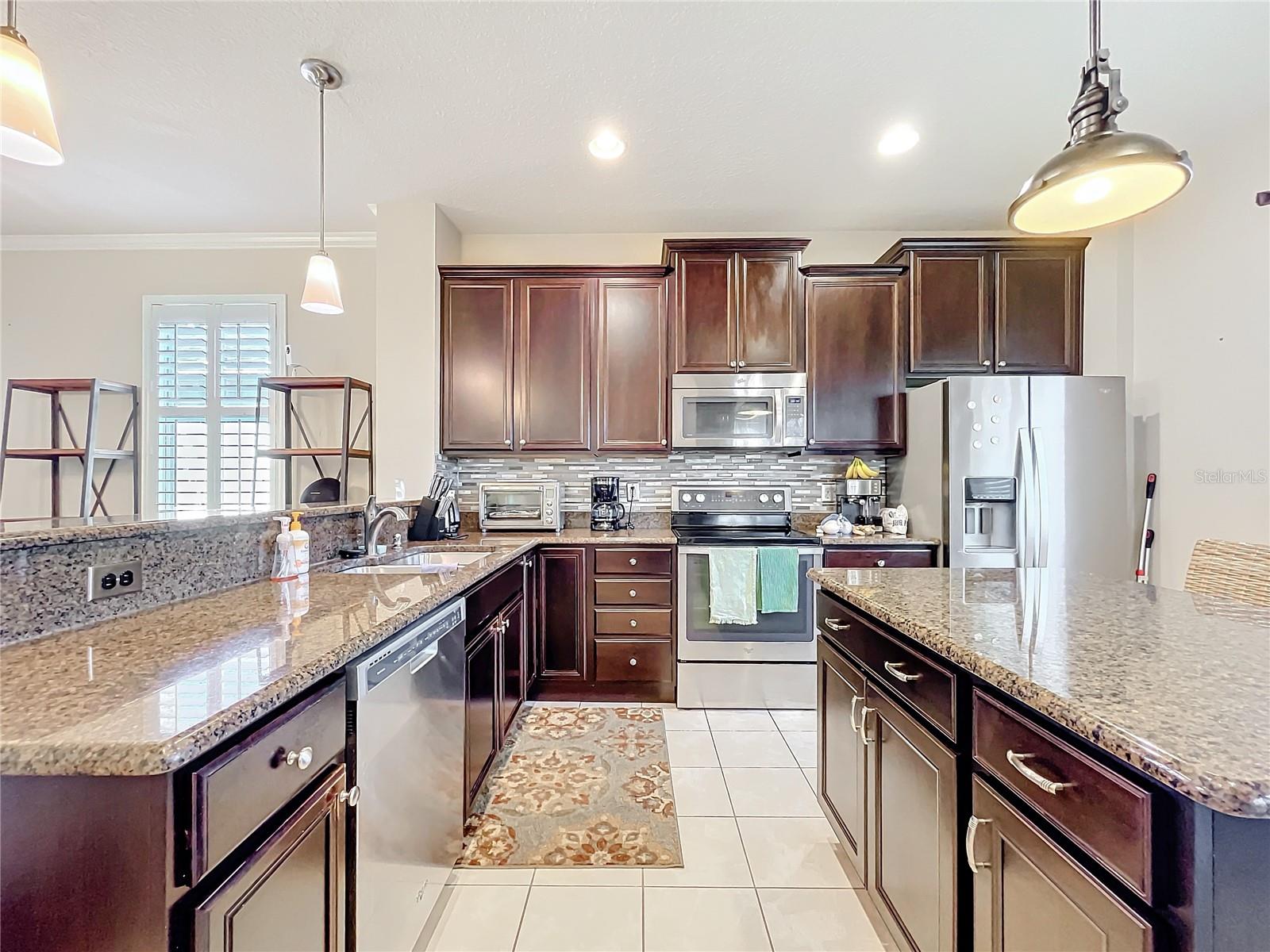 22004 BELGIAN CT, MOUNT DORA, FL — photo 60