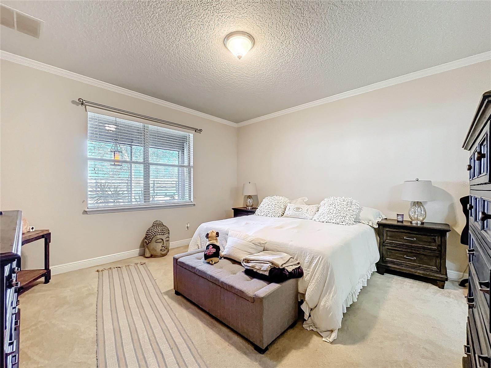 22004 BELGIAN CT, MOUNT DORA, FL — photo 11