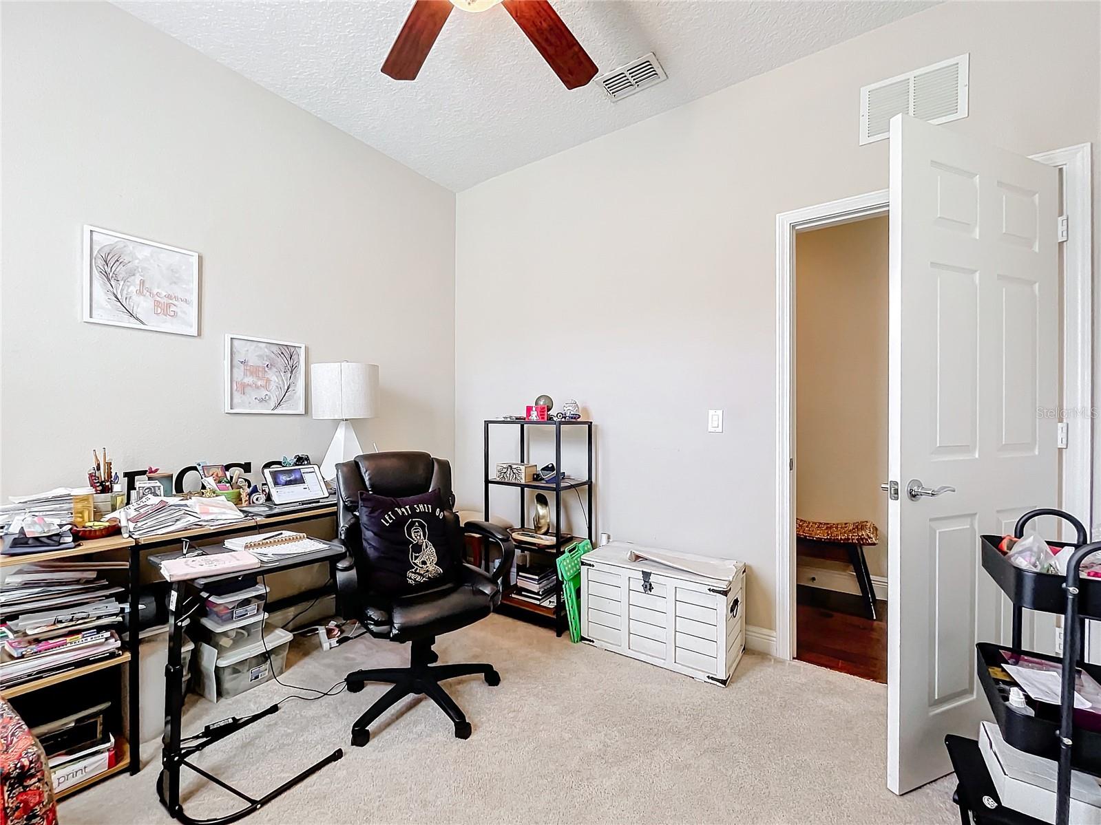 22004 BELGIAN CT, MOUNT DORA, FL — photo 101