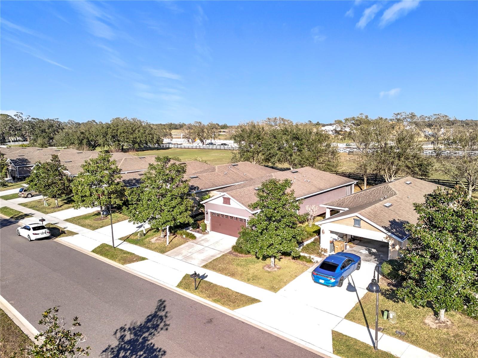 22004 BELGIAN CT, MOUNT DORA, FL — photo 115
