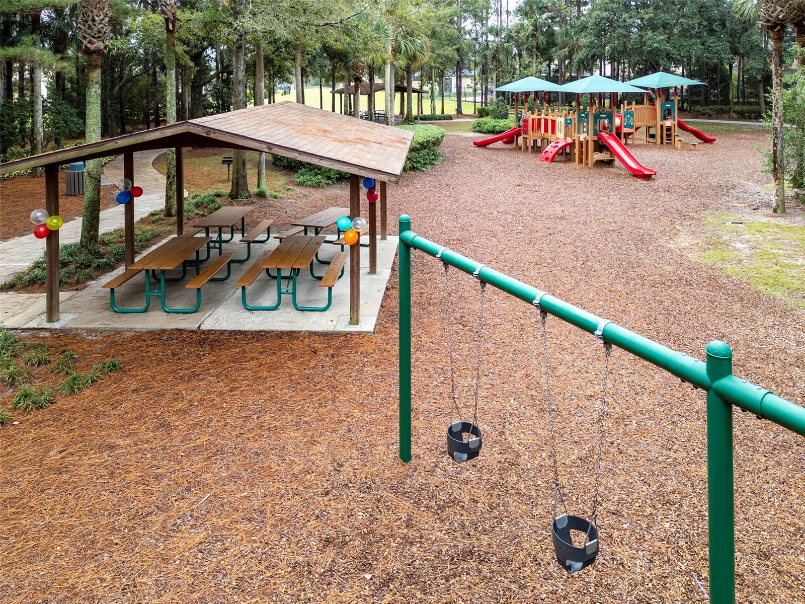 22004 BELGIAN CT, MOUNT DORA, FL — photo 129
