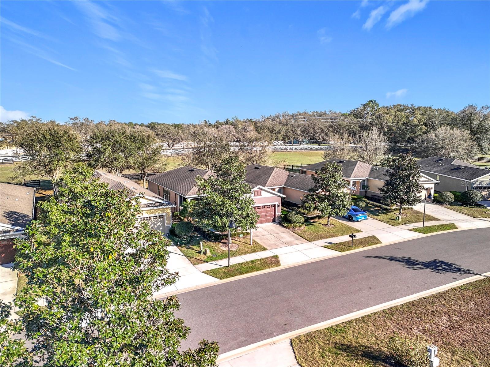 22004 BELGIAN CT, MOUNT DORA, FL — photo 137