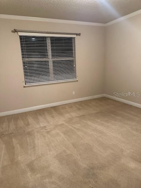 22004 BELGIAN CT, MOUNT DORA, FL — photo 98