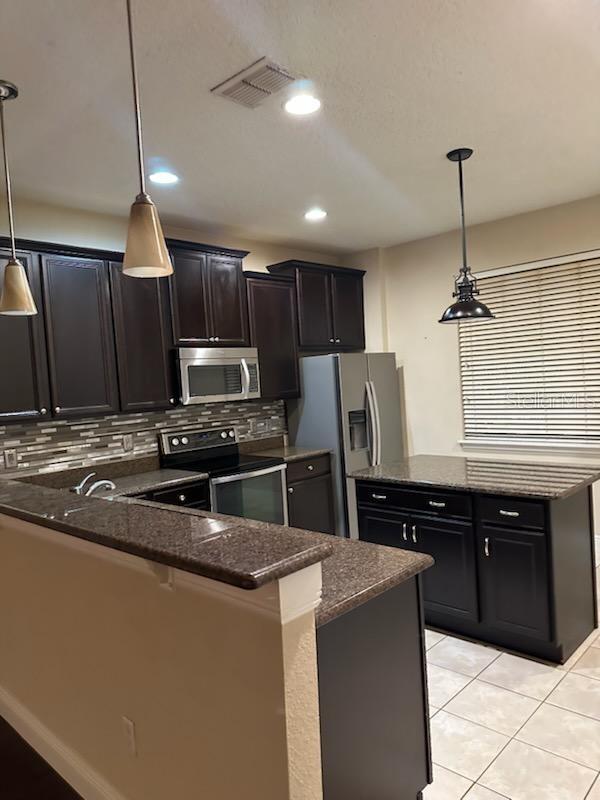 22004 BELGIAN CT, MOUNT DORA, FL — photo 62