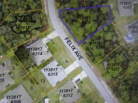 FELIX AVE — photo 1