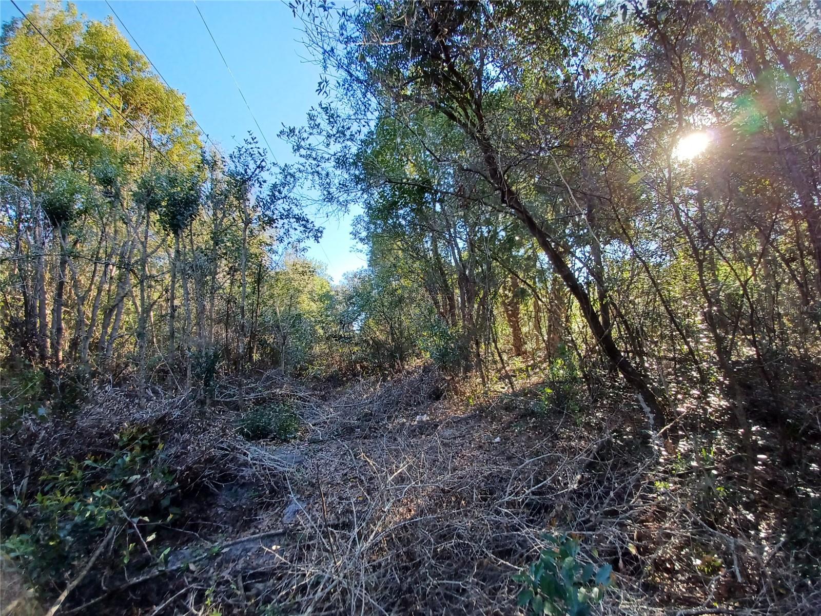 524 S US HIGHWAY 27 - 441 #441, LADY LAKE, FL — photo 11