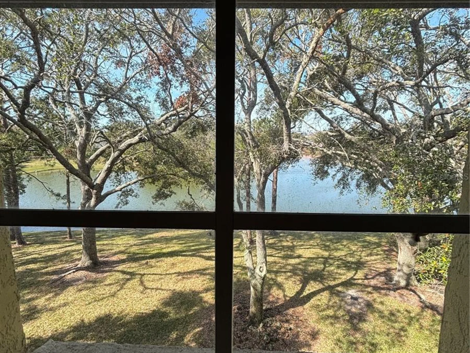 2690 CORAL LANDINGS BLVD #538, PALM HARBOR, FL — photo 10