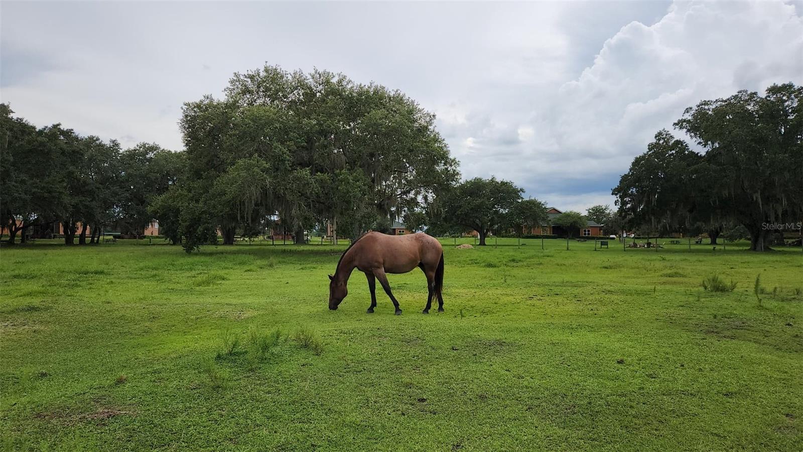 253 SADDLE LN, RIVER RANCH, FL — photo 13