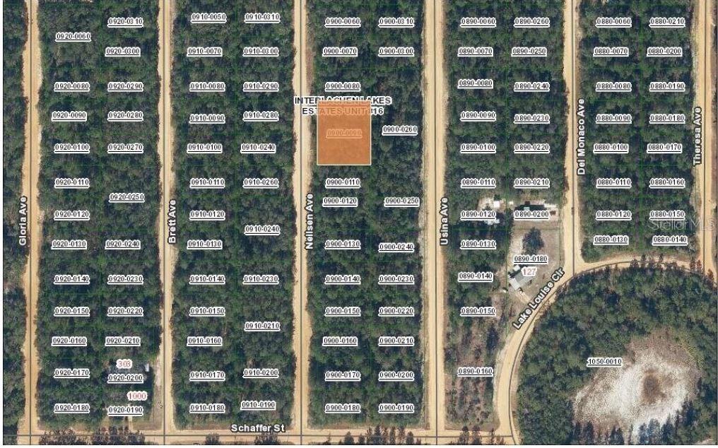 TBD NEILSEN AVE, INTERLACHEN, FL