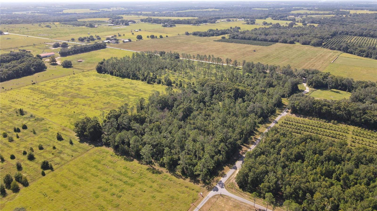AMBERLEA RD, DADE CITY, FL