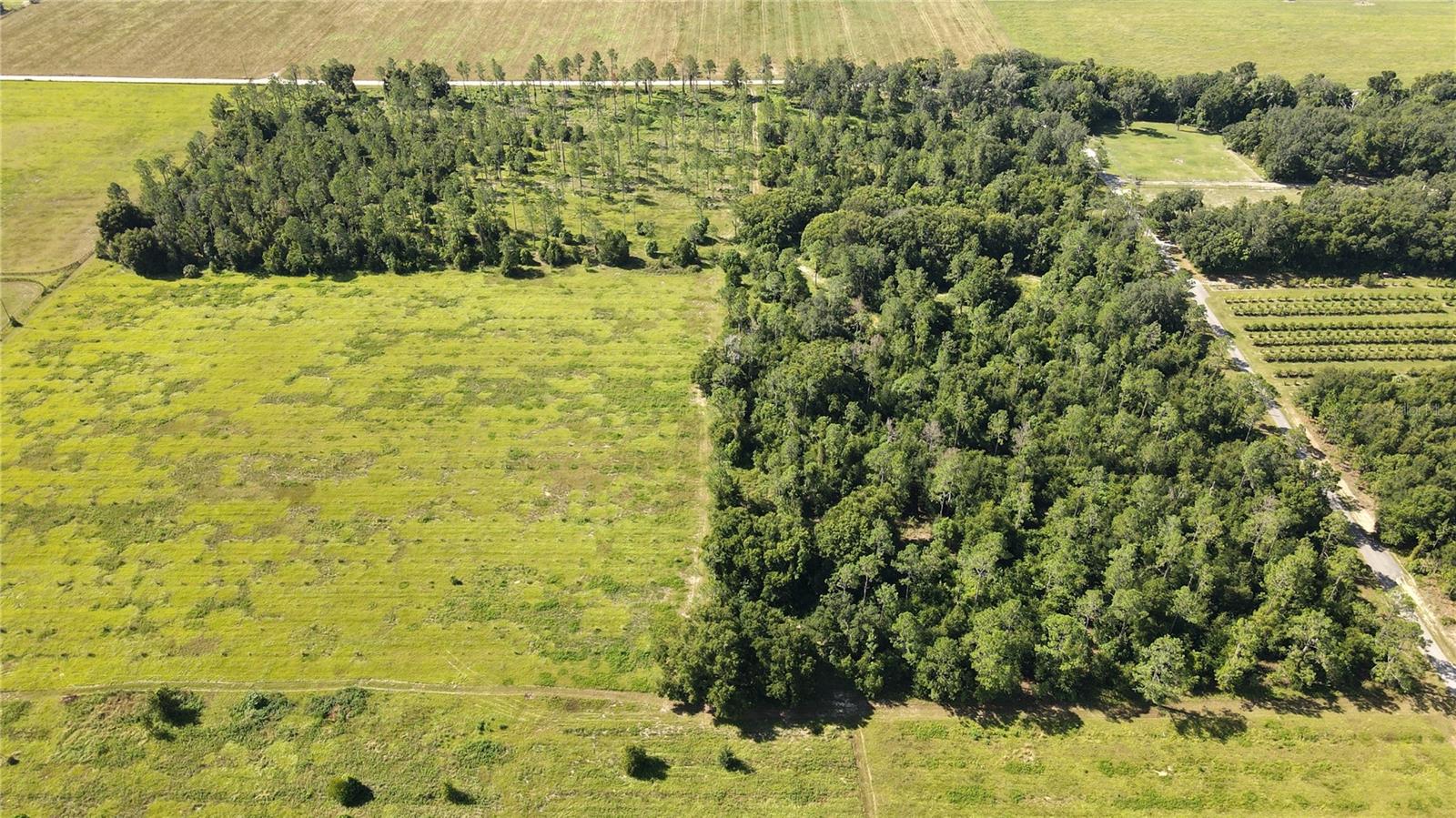 AMBERLEA RD, DADE CITY, FL — photo 2