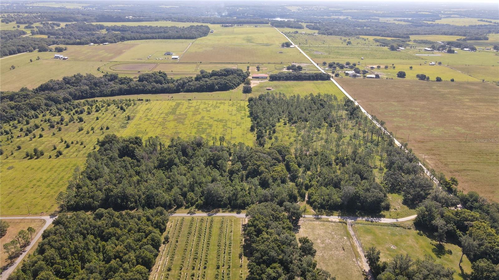 AMBERLEA RD, DADE CITY, FL — photo 8