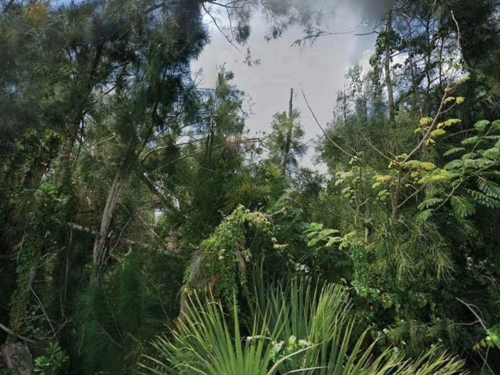 30353 HOLLY RD, PUNTA GORDA, FL — photo 1