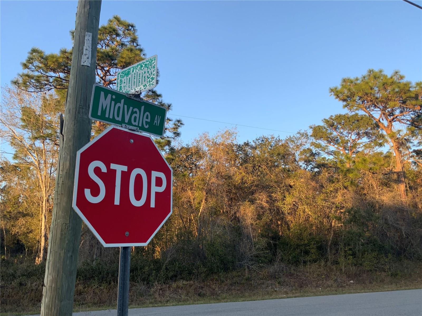 12842 MIDVALE AVE, NEW PORT RICHEY, FL — photo 8