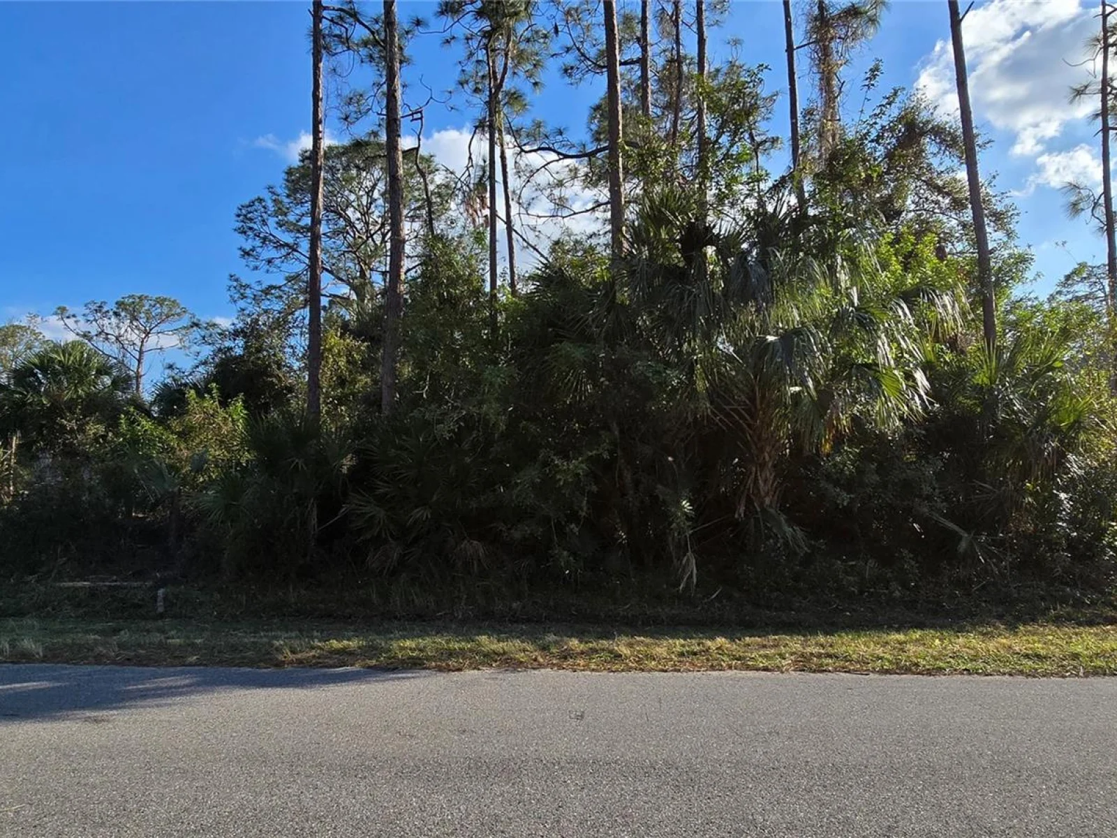 SYLVANIA AVE, NORTH PORT, FL — photo 3