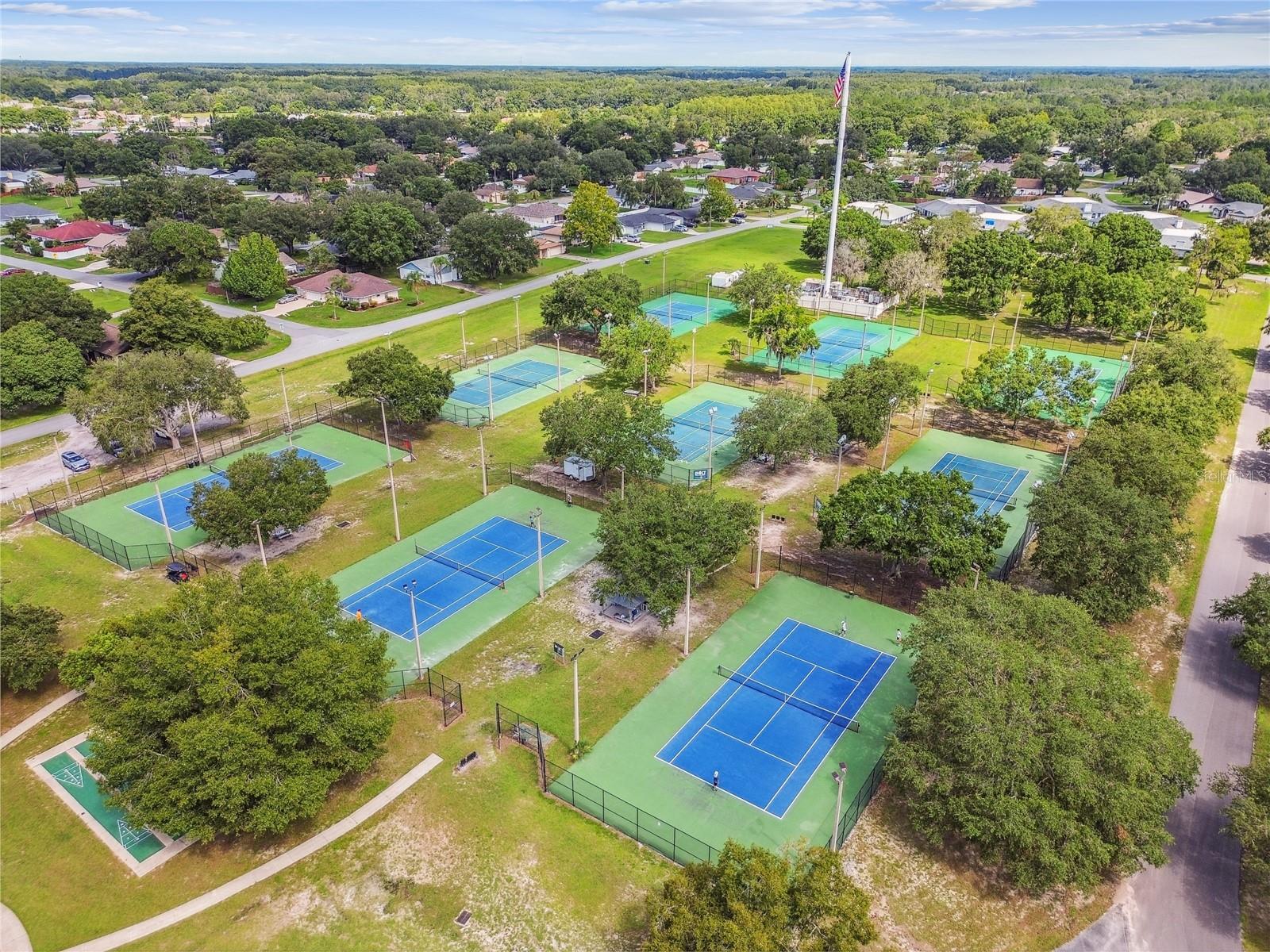 23227 CLUB VILLAS DR #38, LAND O LAKES, FL — photo 42
