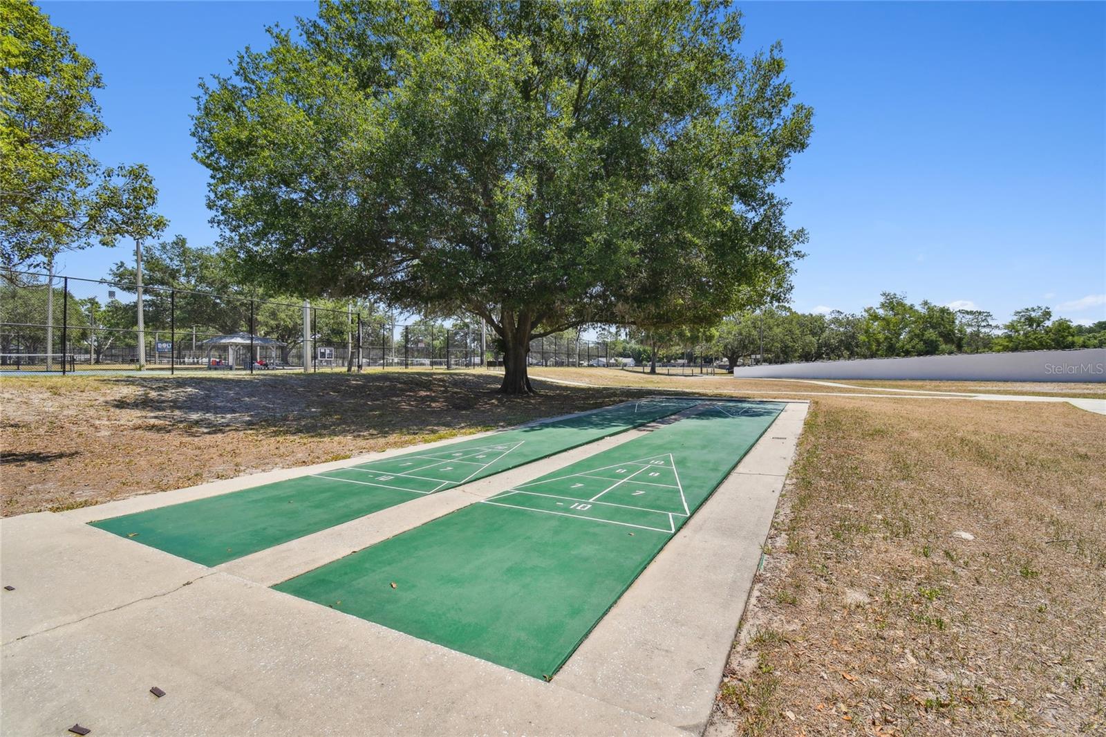 23227 CLUB VILLAS DR #38, LAND O LAKES, FL — photo 48