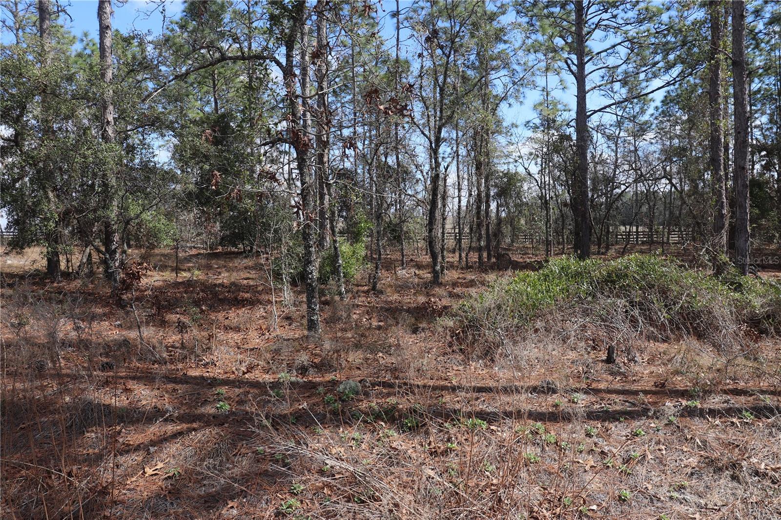 2251 NW BUENA VISTA RD, DUNNELLON, FL