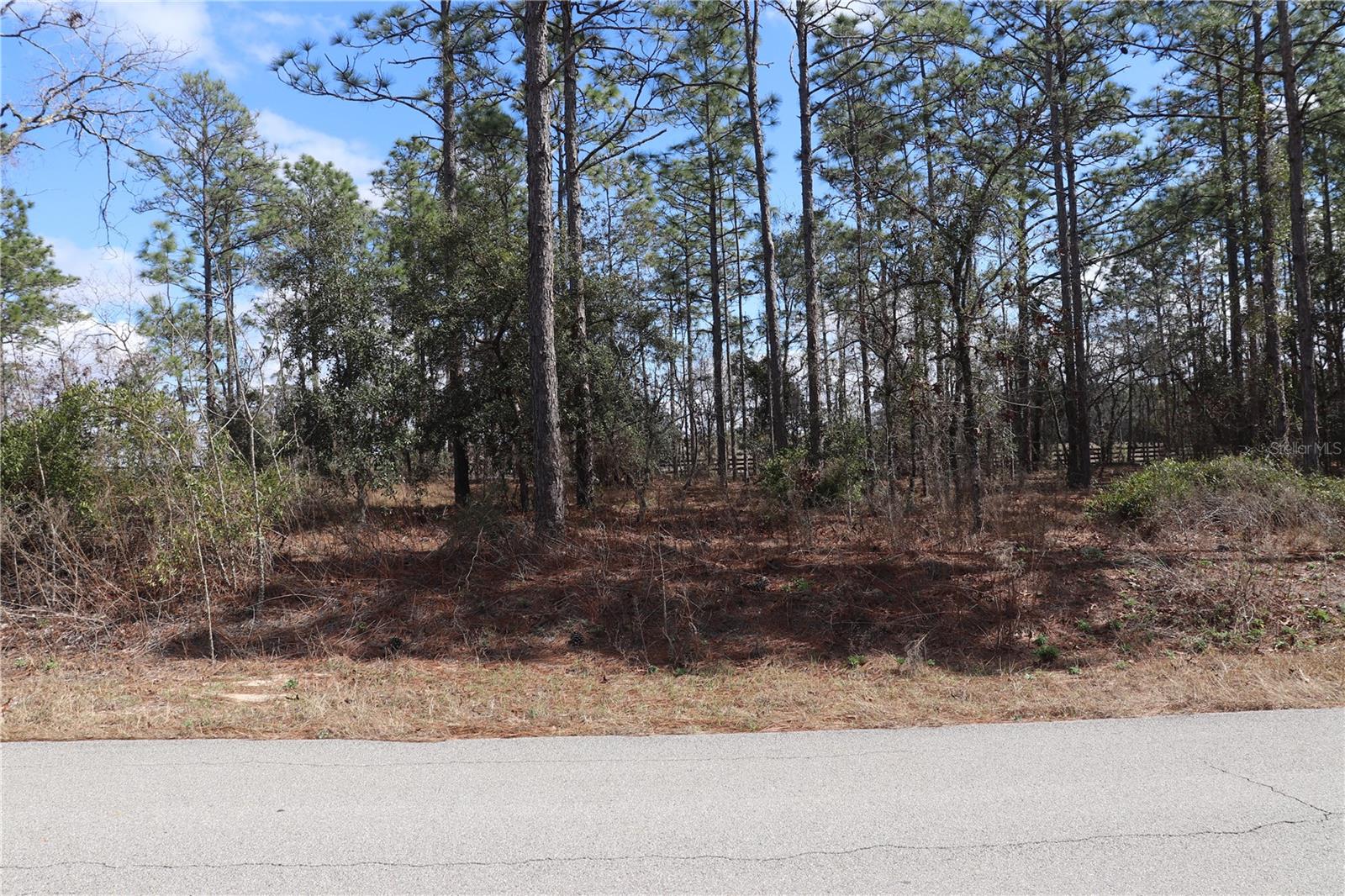 2251 NW BUENA VISTA RD, DUNNELLON, FL — photo 2