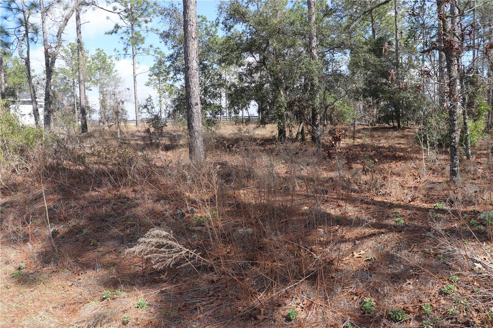 2251 NW BUENA VISTA RD, DUNNELLON, FL — photo 3