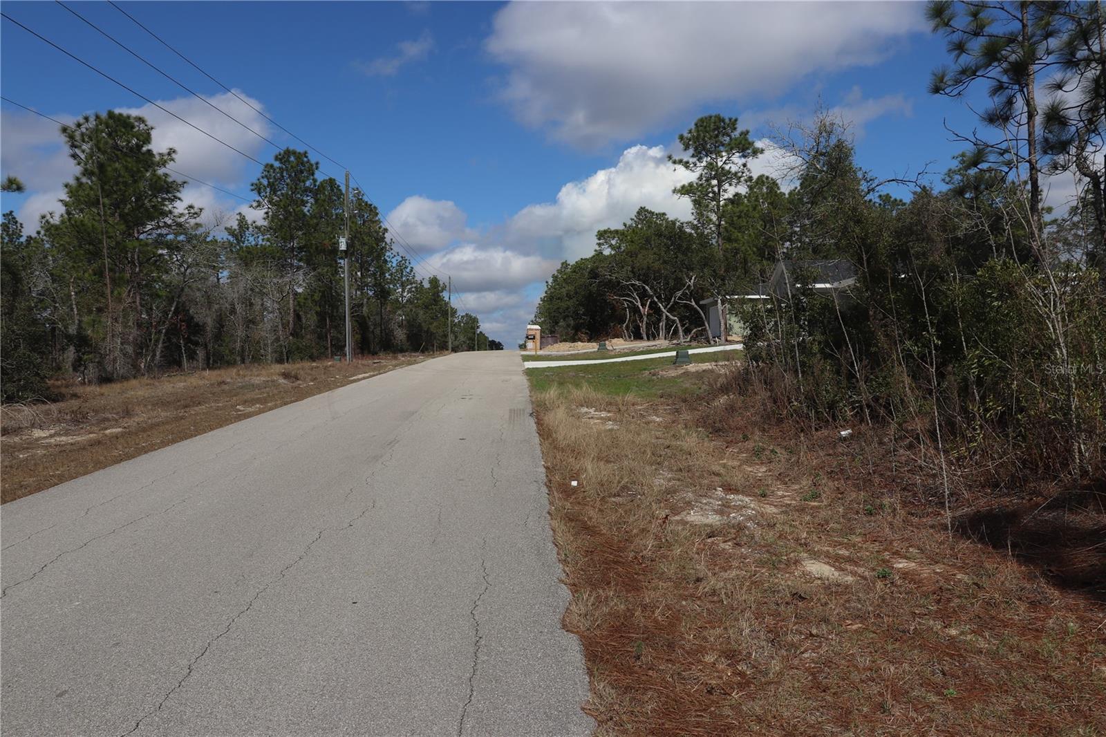 2251 NW BUENA VISTA RD, DUNNELLON, FL — photo 4