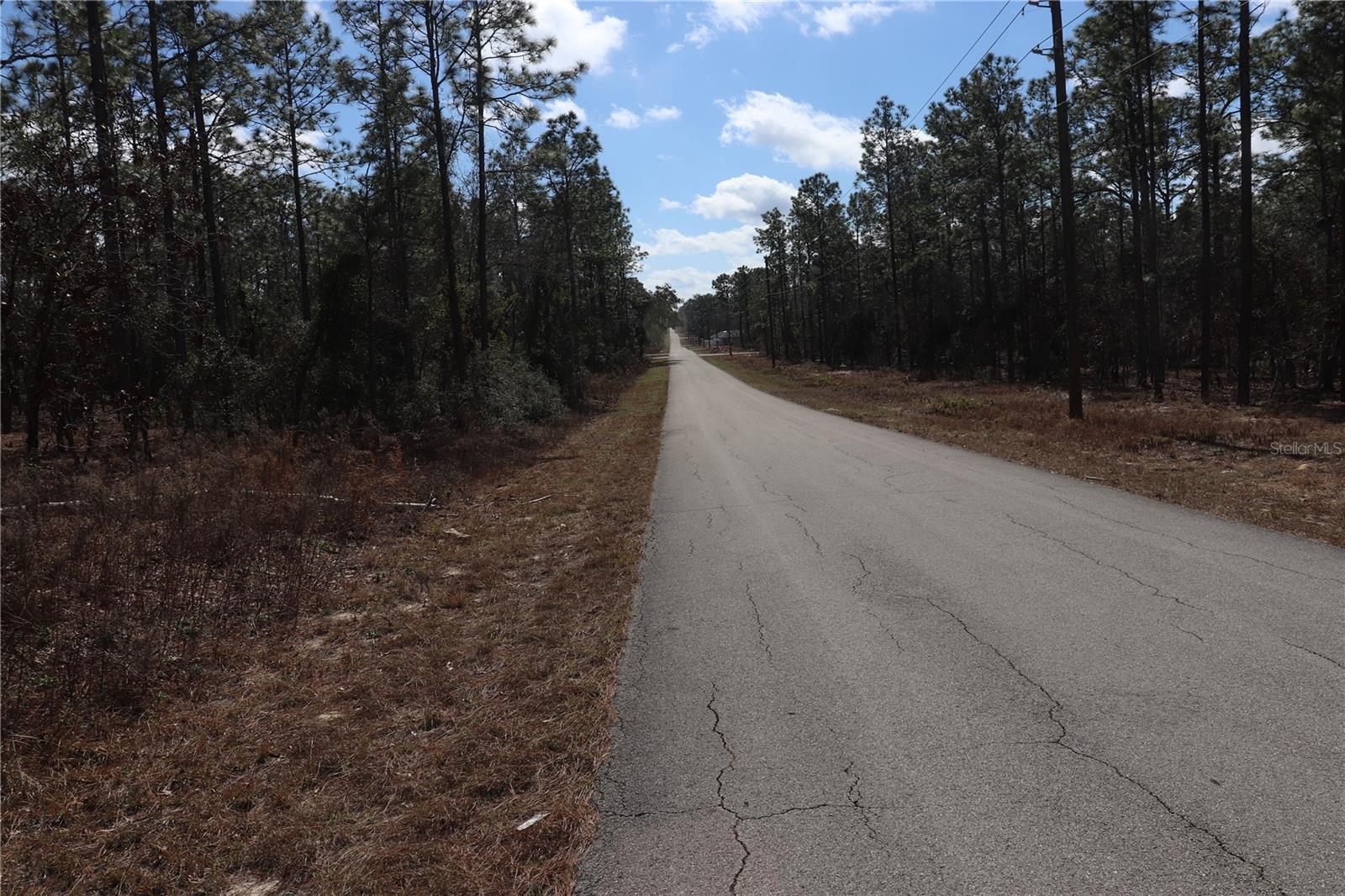 2251 NW BUENA VISTA RD, DUNNELLON, FL — photo 5