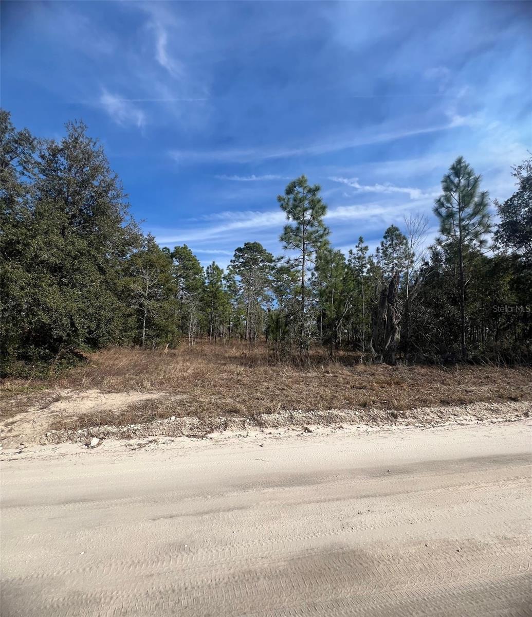 TBD SE 185 TER, MORRISTON, FL
